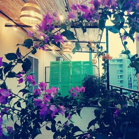 Alojamento de Acomodação e Pequeno-almoço Attico 59 3*